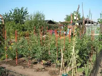 Garten 024.webp