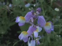 11.07.2010 015.webp