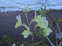 11.07.2010 016.webp
