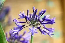 IMG_4035.webp