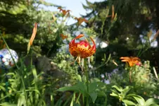 DSC03457.webp