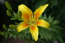DSC03462.webp