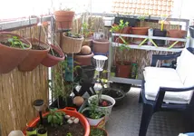 Sonnenecke (2).webp