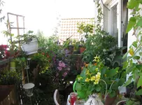 Sonnenecke (7).webp