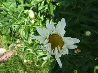 DSCF3701.webp