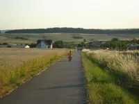 Miles 2.webp