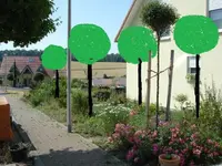 Lösung 1.webp