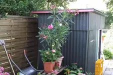 Garten 096.webp