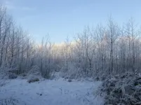 himmlischerWinter.webp