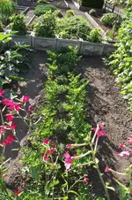 Garten 029.webp