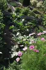 Garten 028.webp