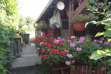 Garten 060.webp