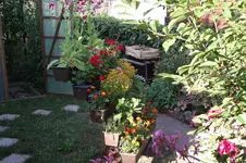 Garten 065.webp