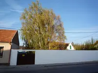 P1000032.webp