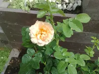 12072010986.webp