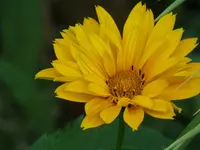 P1020715.webp