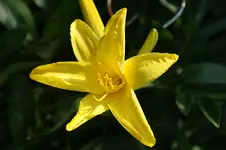 DSC03473.webp