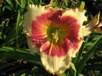 IMG_albert 63-1_1024x768.webp