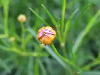 IMG_7642_1024x768.webp