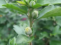 IMG_7659_1024x768.webp