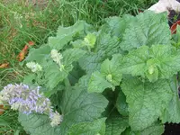 IMG_7650_1024x768.webp