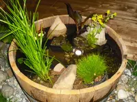 CIMG0207.webp
