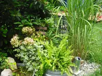 CIMG0229.webp