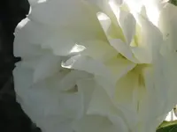 014.webp