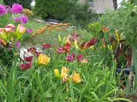 IMG_7800_1067x800.webp