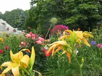 IMG_7802_1067x800.webp