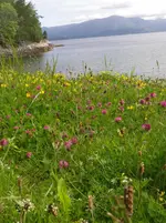 IMGP3389.webp