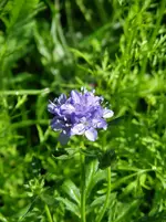 IMGP3662.webp