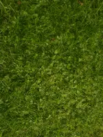 DSC02961.webp
