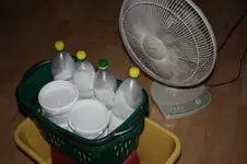 ob das wohl klappt....webp