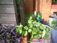 PIC00910.webp