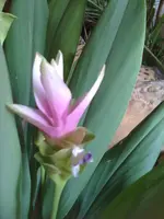 Bilder10.07.10 004.webp