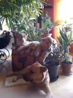 Bilder10.07.10 025.webp