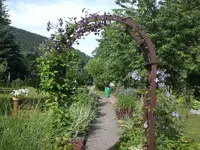 adchgarten Juli1 004.webp