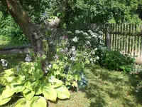 adchgarten Juli1 008.webp