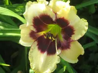 011.webp