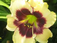013.webp