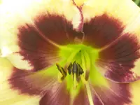 046.webp