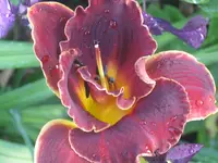018.webp
