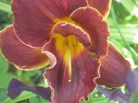 090.webp
