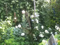 035.webp