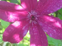 041.webp