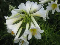 020.webp