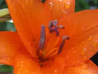 022.webp