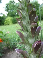 IMG_1966.webp