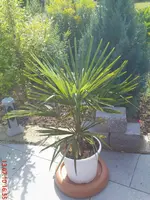 DSC00373.webp